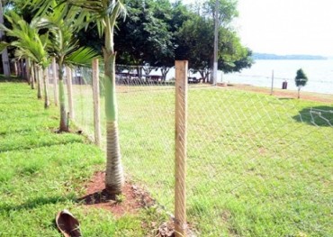 Famosa 